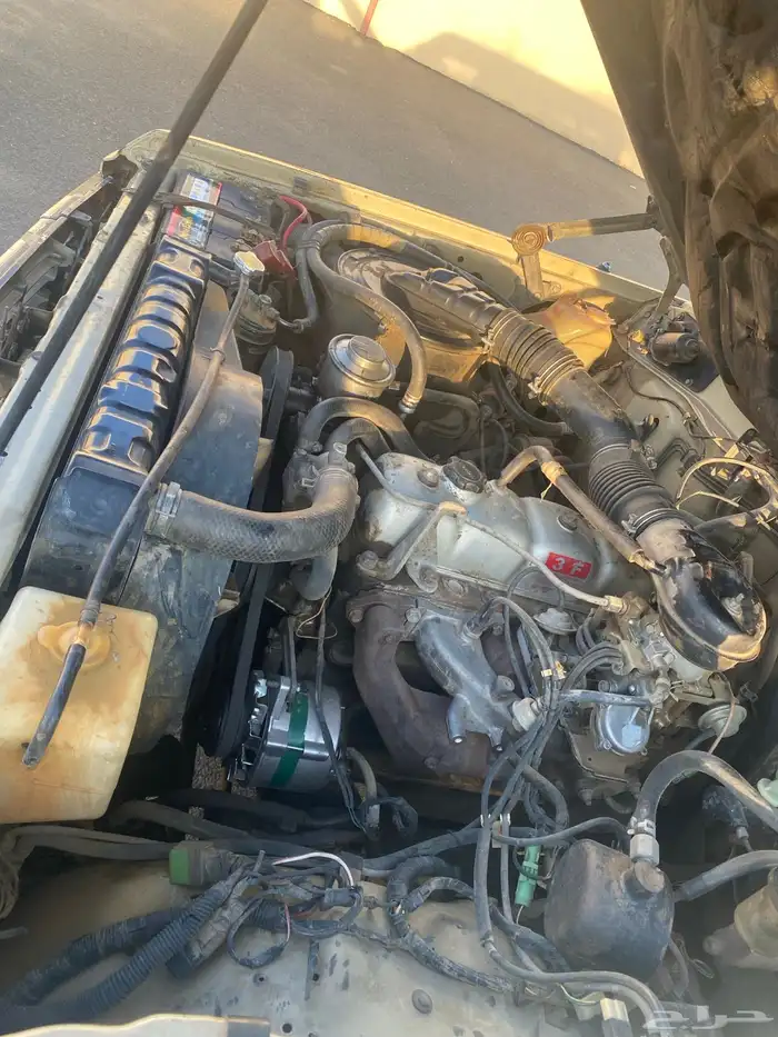 صالون 1988 نظيف 10