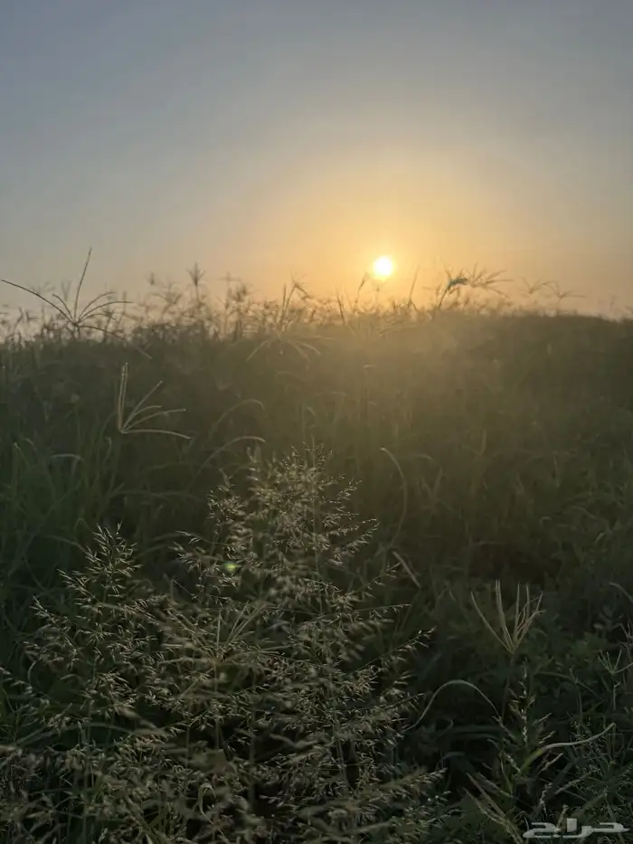 رشاش كهرب وادي الدواسر 1