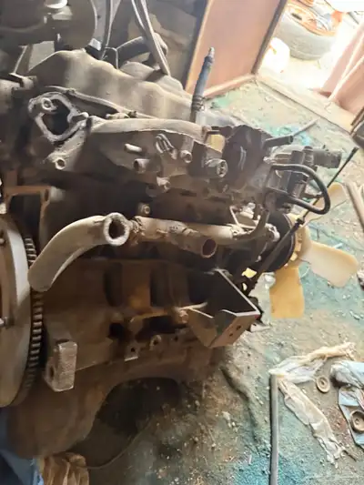 سزوكي سامراي index