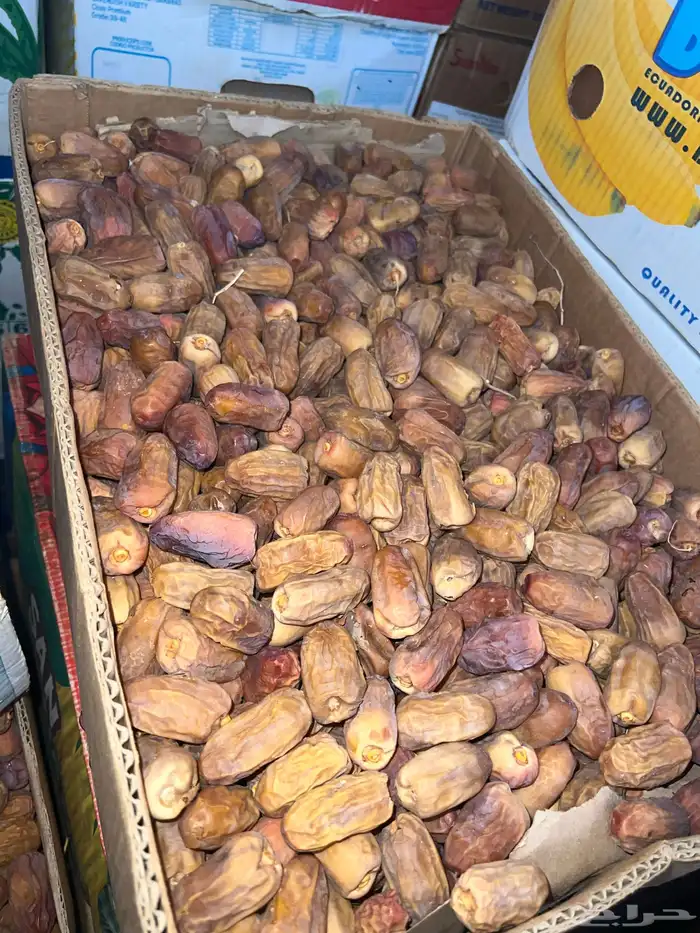 تمر للبيع كرتون وزن 20 كيلو تمر رشودية فاخرة 0