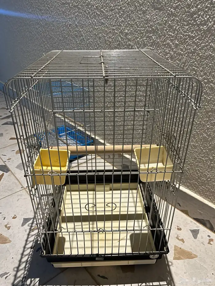 قفص ساسكو وقفص صغير 2