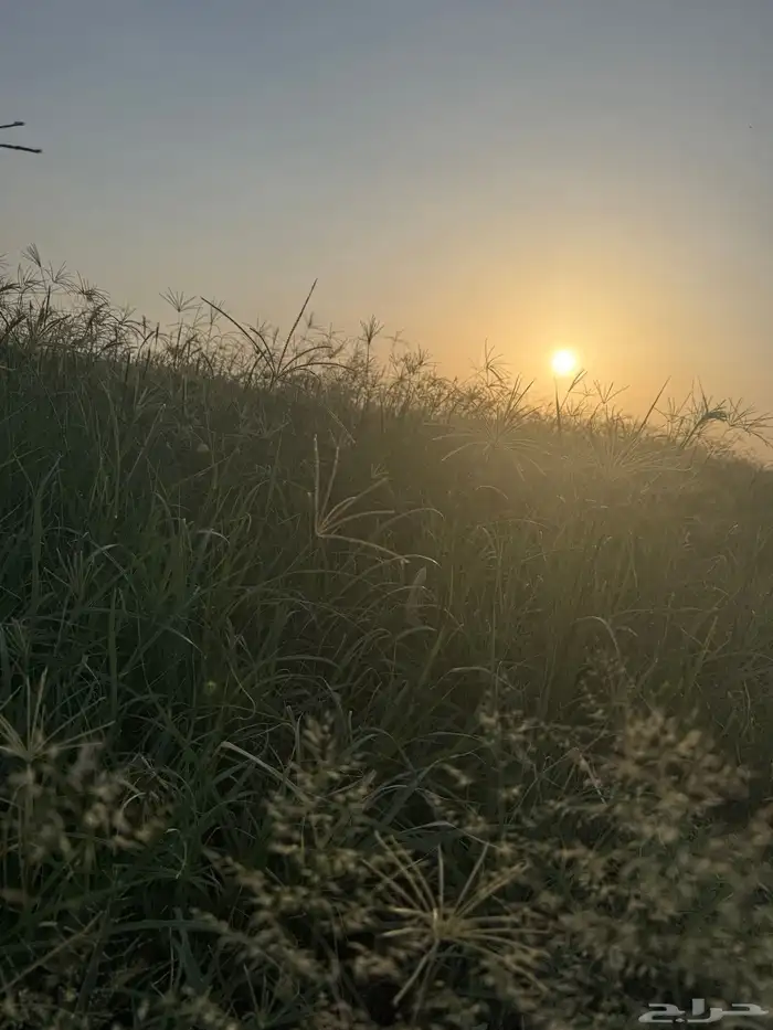 رشاش كهرب وادي الدواسر 2