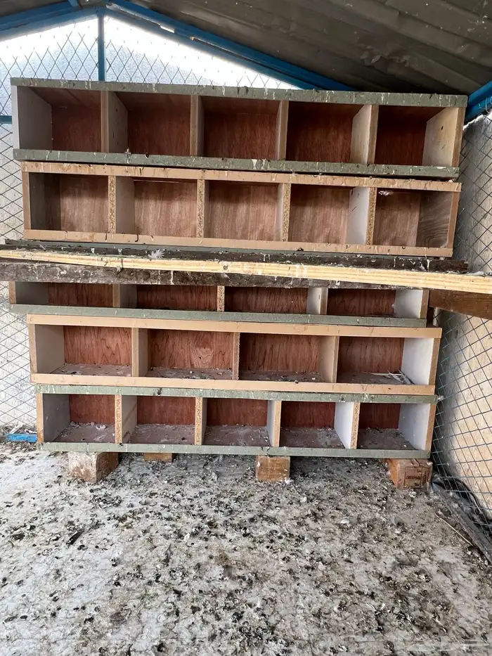 للبيع أبراج حمام 0