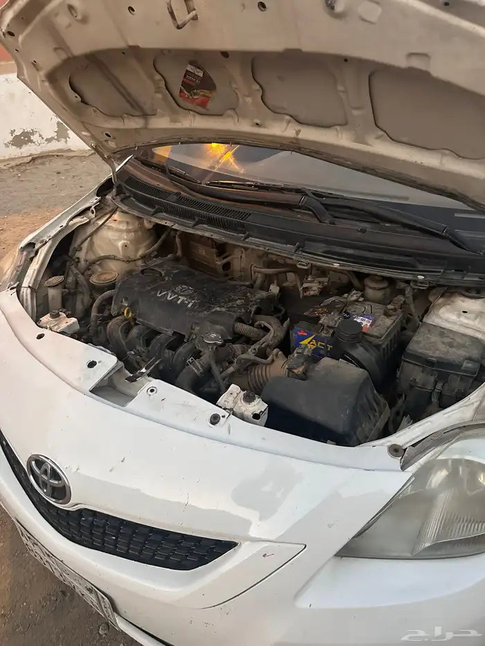 يارس للبيع 7