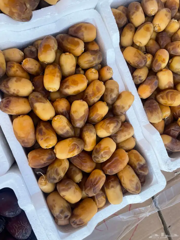 تمر عجوة للبيع 1