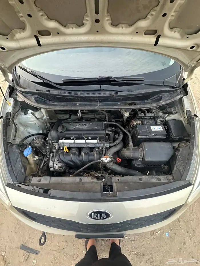 كيا ريو 2012 7