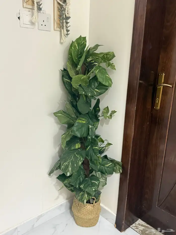 للبيع أثاث نظيف جد ا شبه جديد 5