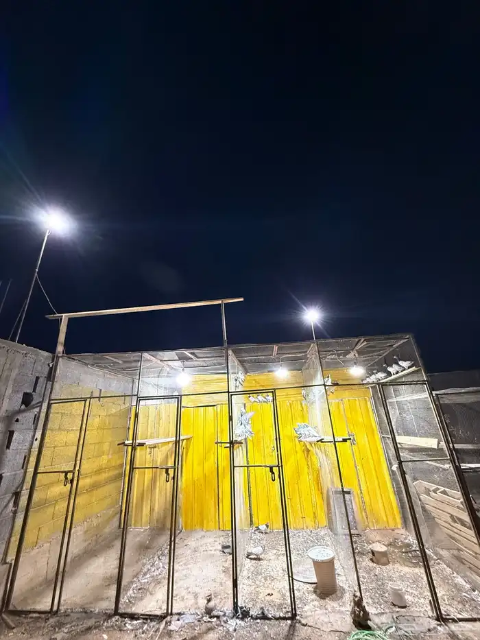 عشه حمام جال. صندقه 2