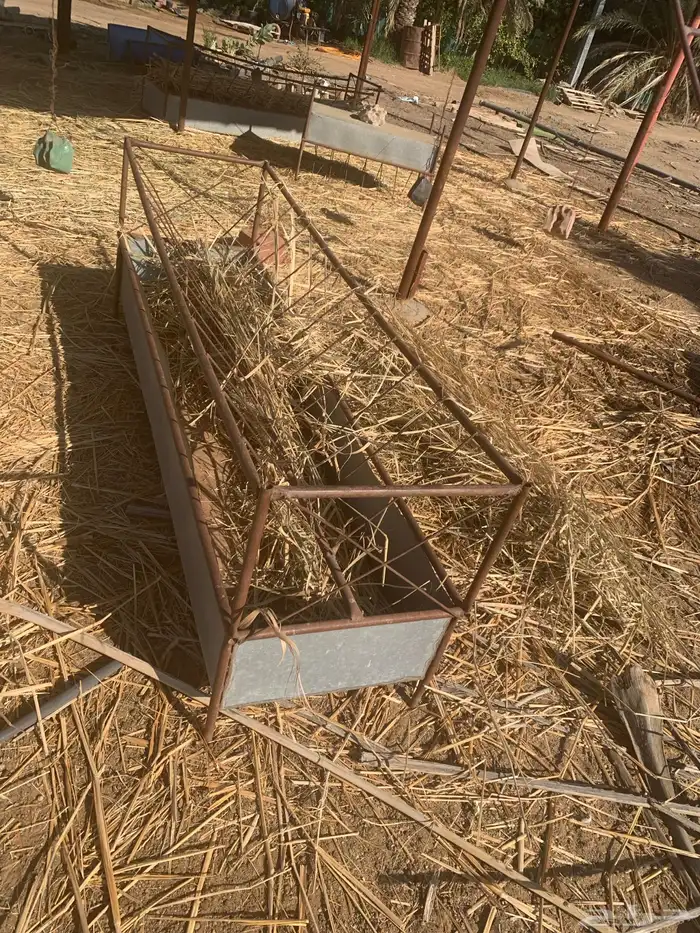 مناقل حلف غنم 0