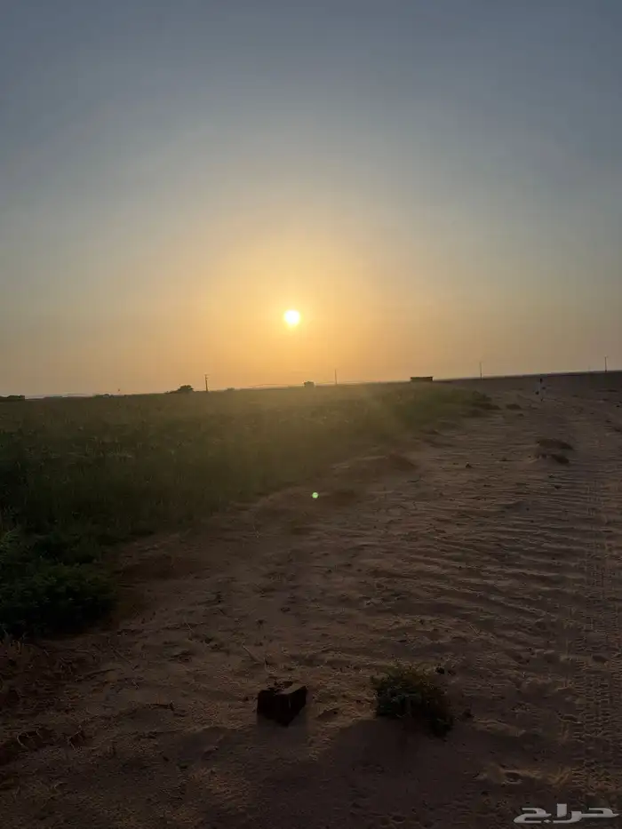 رشاش كهرب وادي الدواسر 4