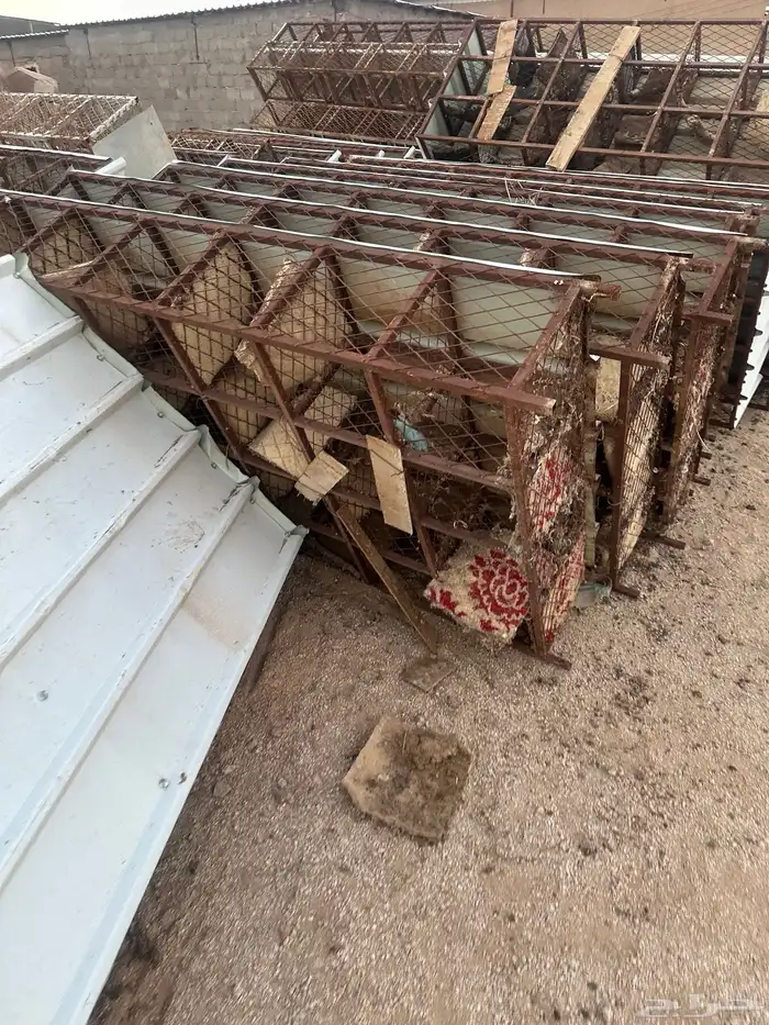 شبوك حمام. مصممه لمشروع 3