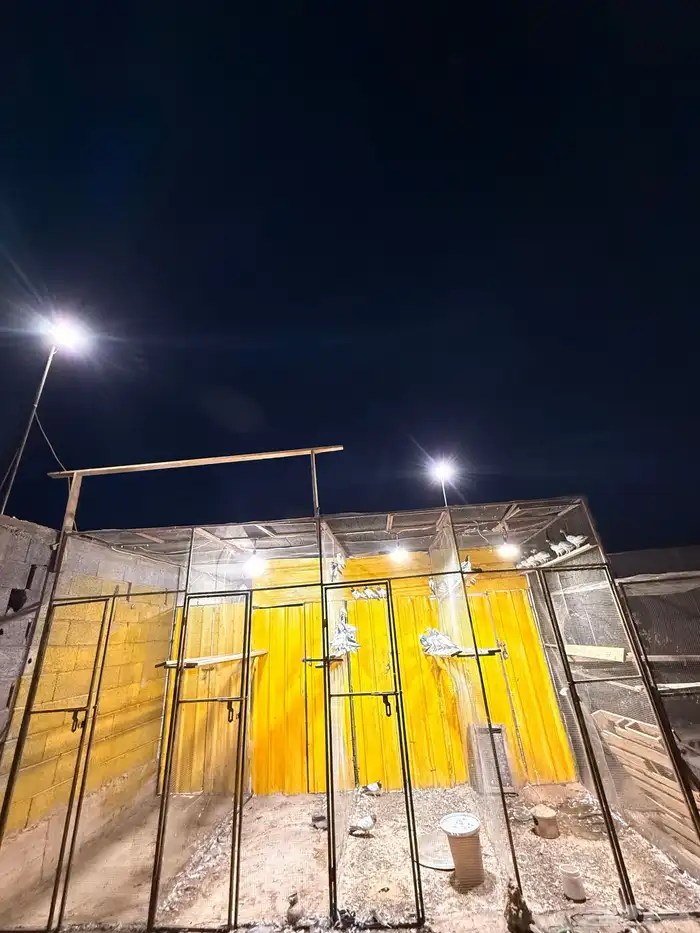 عشه حمام جال. صندقه 3