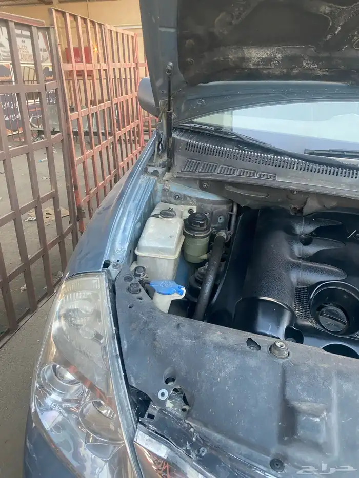 كياء كرنفال 2009 ممشاء 300 نضيف 1