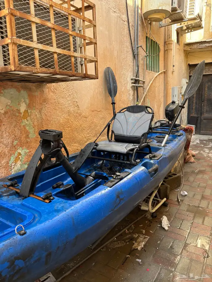 كاياك الدولفين اكبر حجم 1