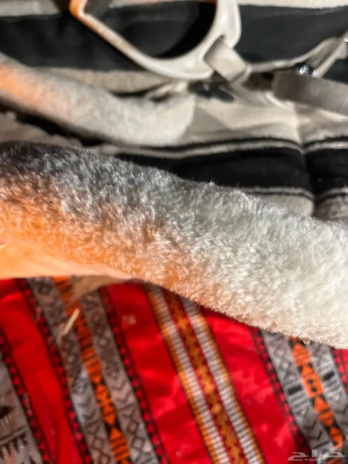 لباده سميكه جدا من متجر عزوه الخيال 1