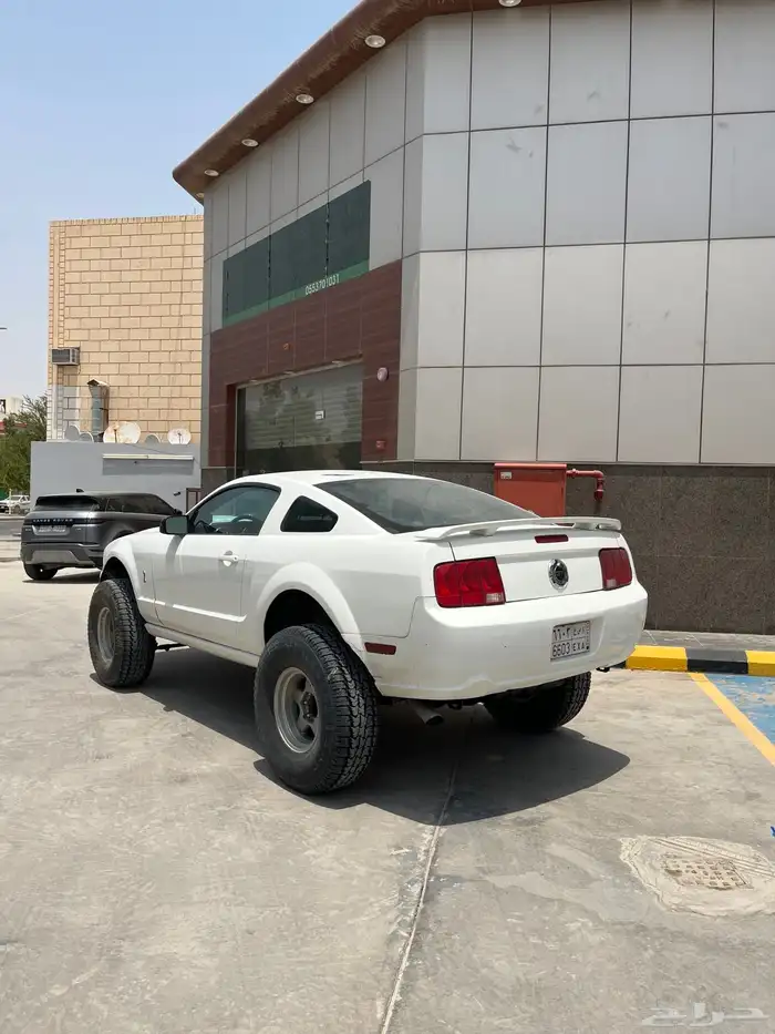 موستنق دبل 6