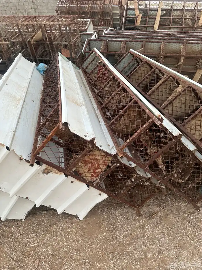 شبوك حمام. مصممه لمشروع 4