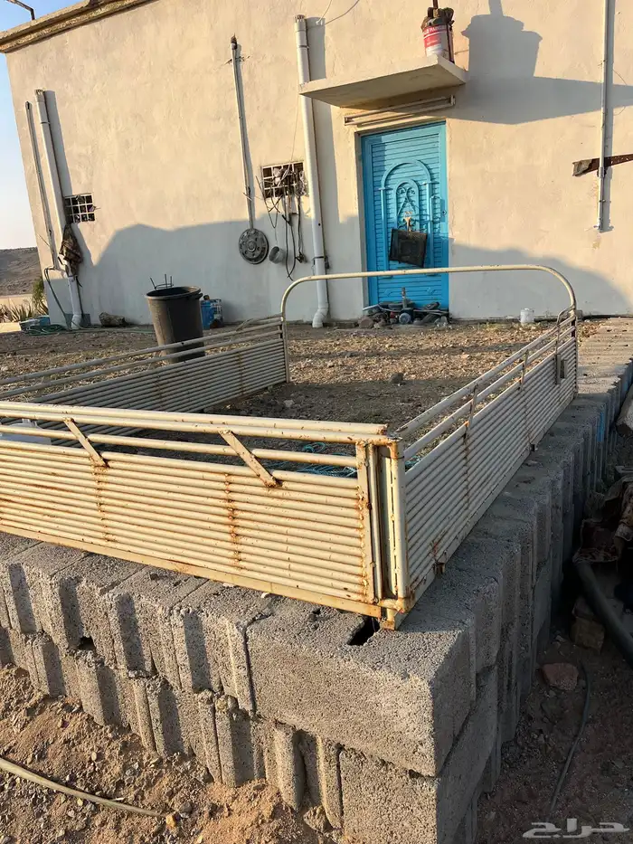 شد شاص للبيع نظيف 0