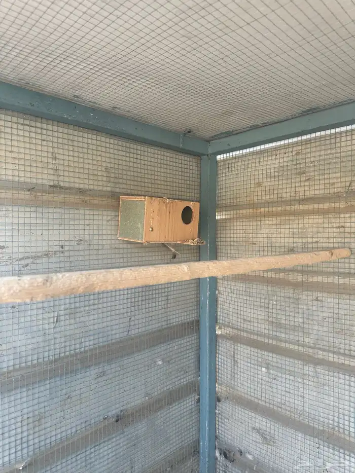 شبك طيور للبيع 2