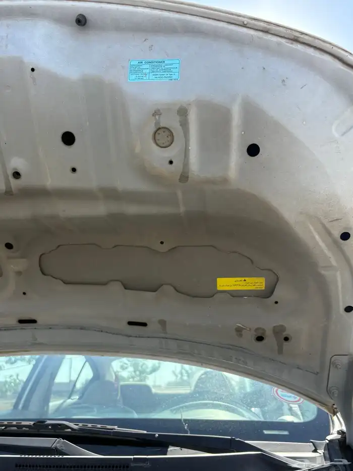 صني 2018 ب اسمي وكاله 15