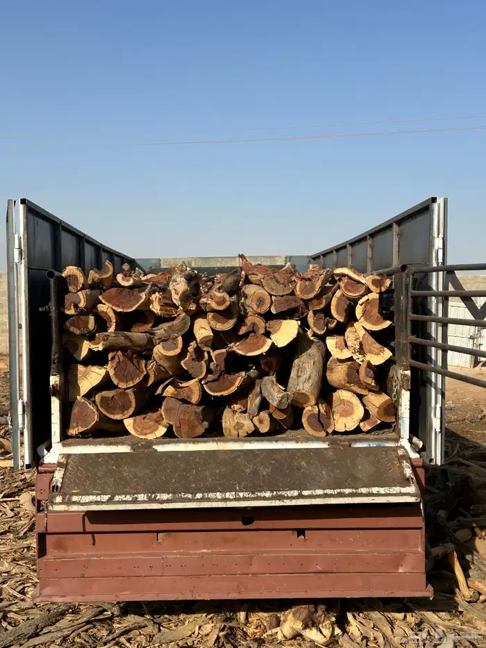 ح ط ب المدينه شلايخ 4