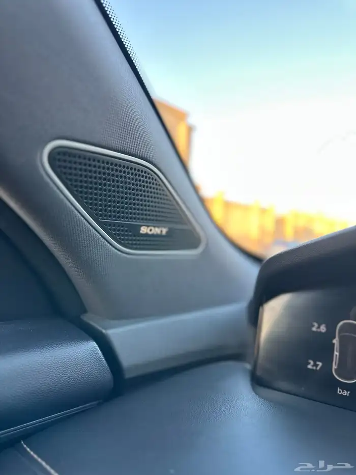 شانجان يوني كي وارد المجدوعي 2023 26