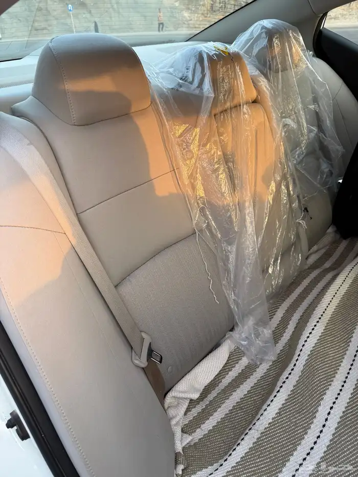 التيما 2020 شد بلد 8