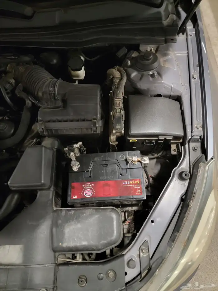 كادينزا 2012 فل الفل 13