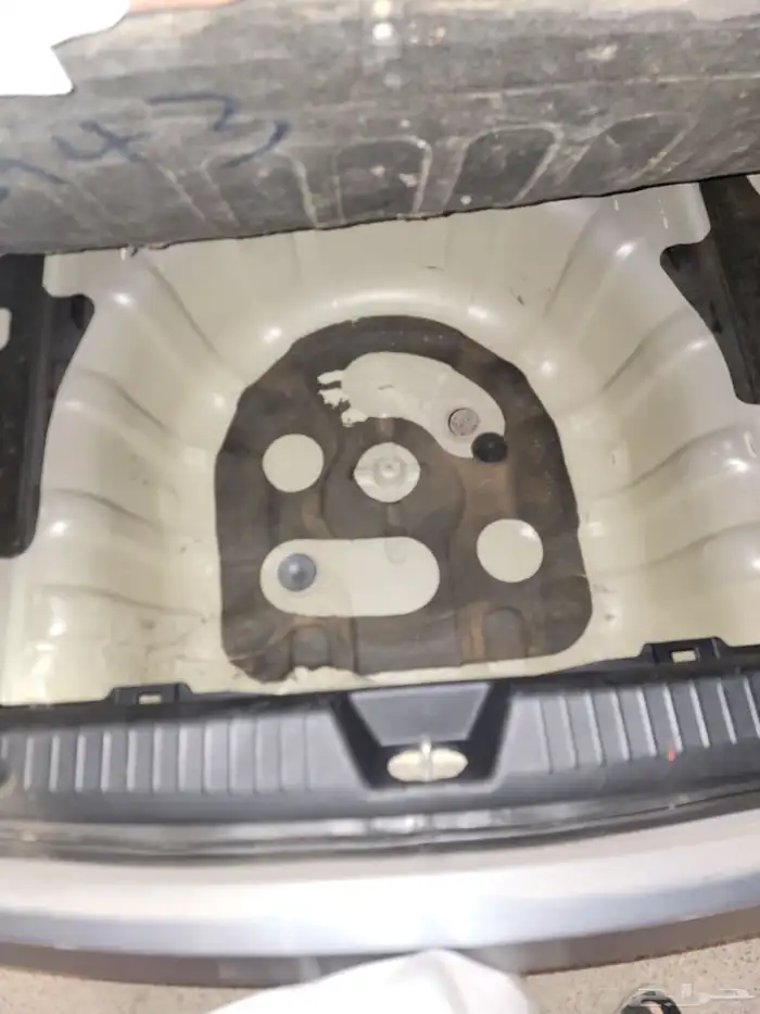 كادينزا 2012 فل الفل 14