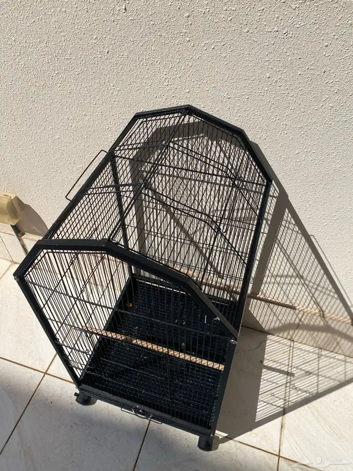 قفص ببغاء 1