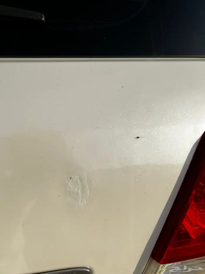 حيب جكسار 2013 فل كامل رقم 3 16