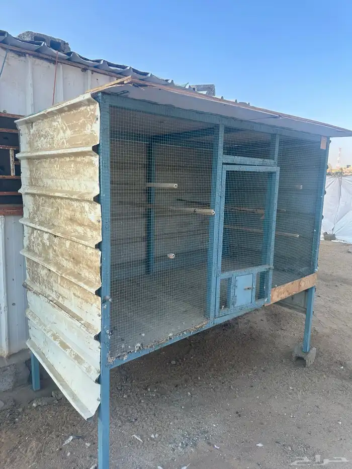 شبك طيور للبيع 0