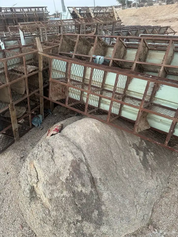 شبوك حمام. مصممه لمشروع 1