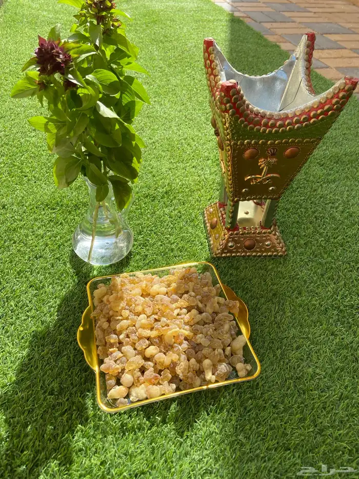 لبان عرض يوم الخميس والجمعه 0