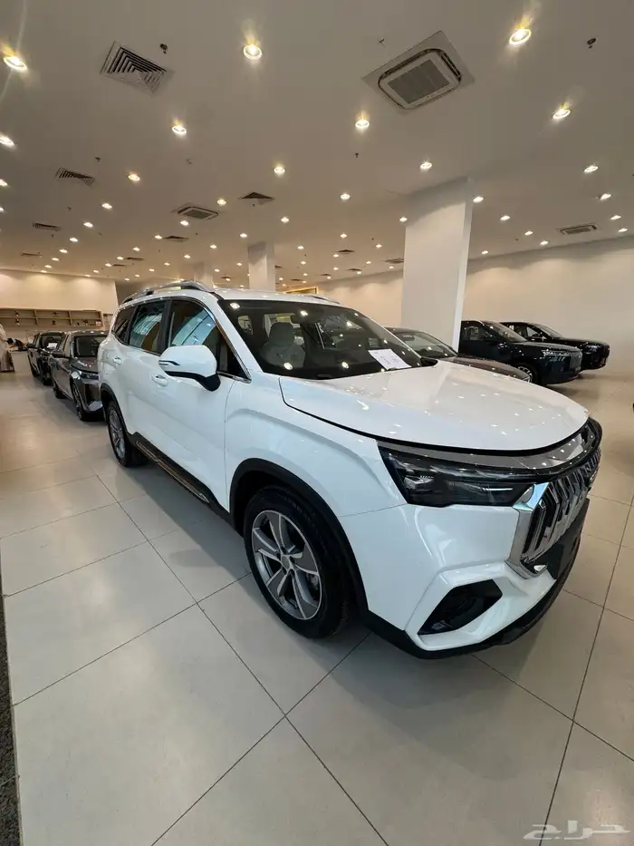 جيلي اوكوفانجو فئات متعددة موديل 2025 17