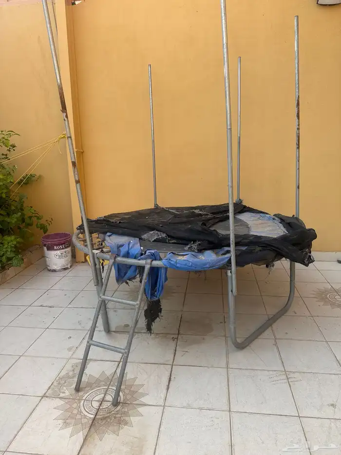 نطيطه للبيع جازان الي له نيه فيها يتواصل 0