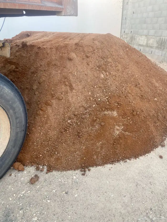 يوجد دفان سقوس 0