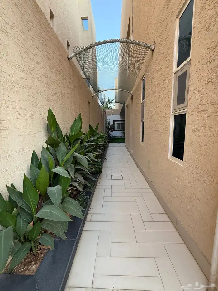 فيلا للإيجار بالعارض 5