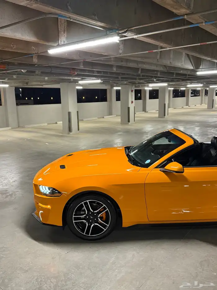 موستنق 2018 ( كشف - فل كامل ) 32