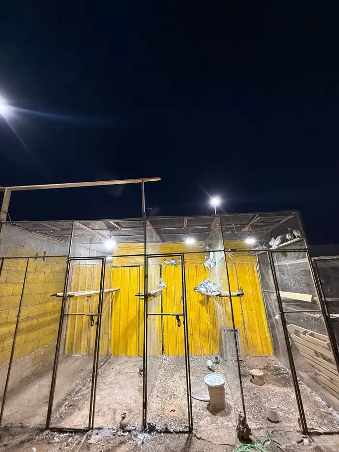 عشه حمام جال. صندقه 1