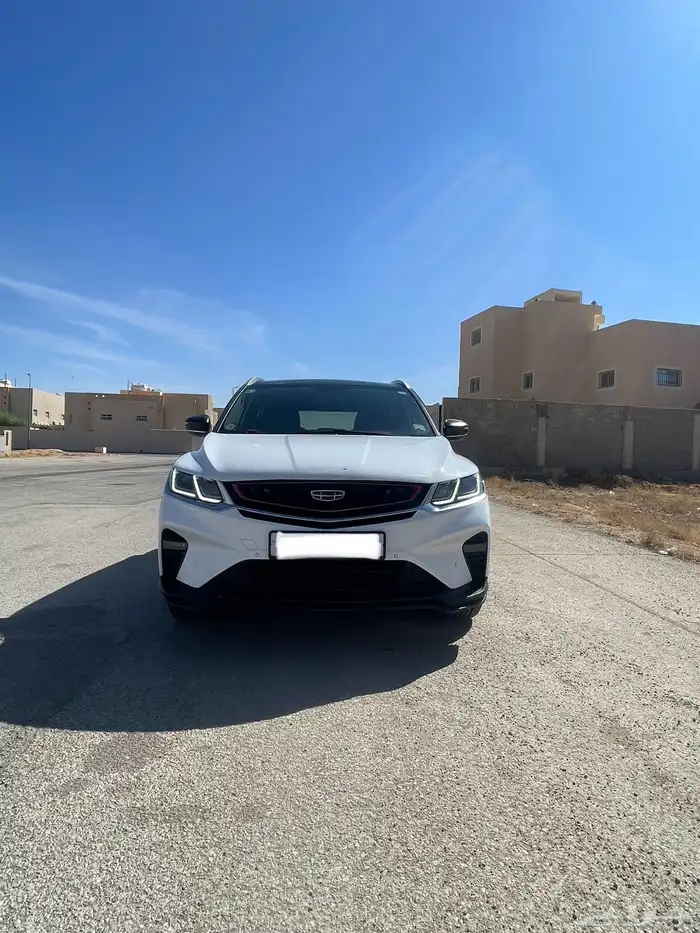 جيلي كلوراي 2020 5