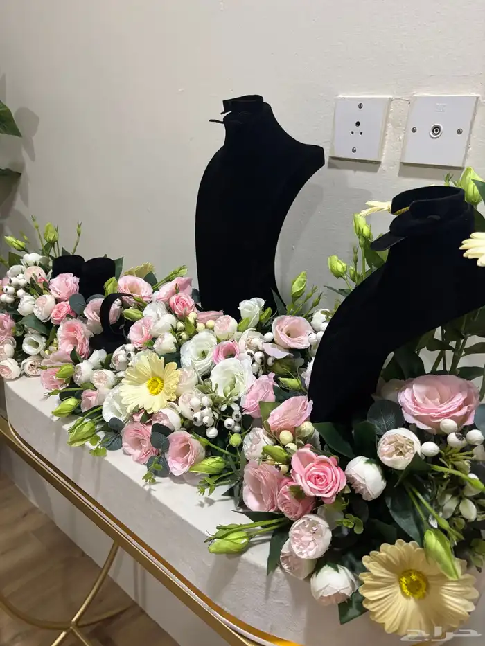 استاند شبكة 1