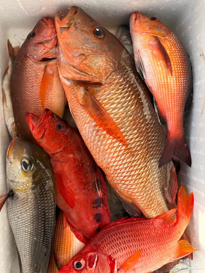 رحلات صيد رحلات بياضه رحلات بحرية 2