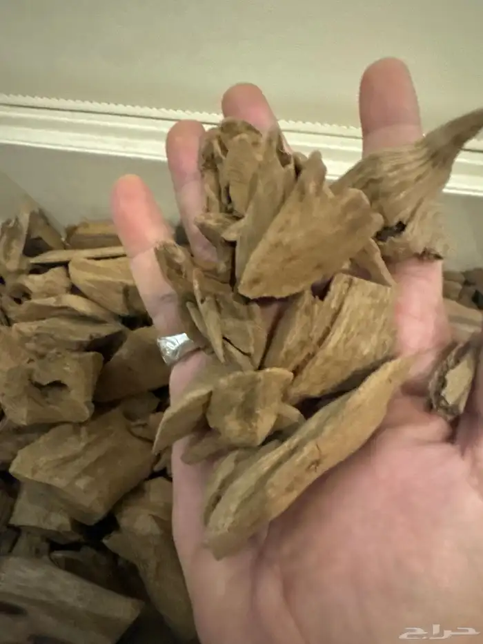 عود مروكي طبيعي 100 100 3