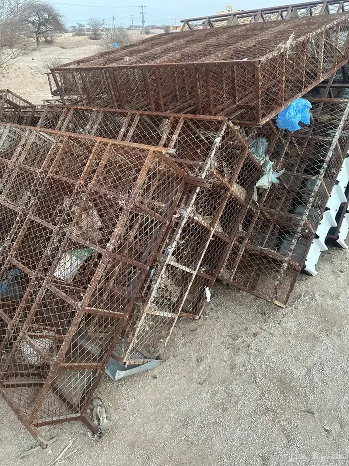 شبوك حمام. مصممه لمشروع 0