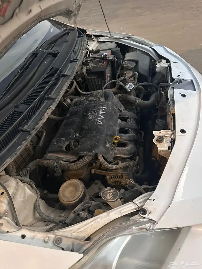 يارس للبيع 8