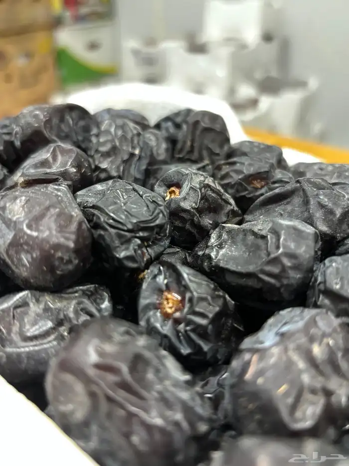 تمر عجوة للبيع 3