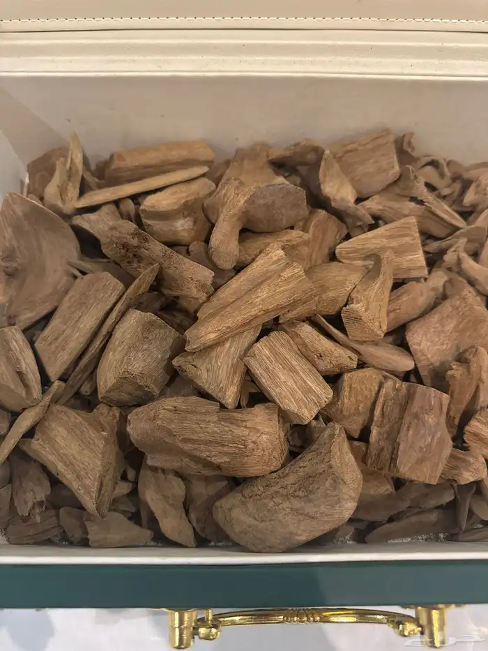 عود مروكي طبيعي 100 100 0