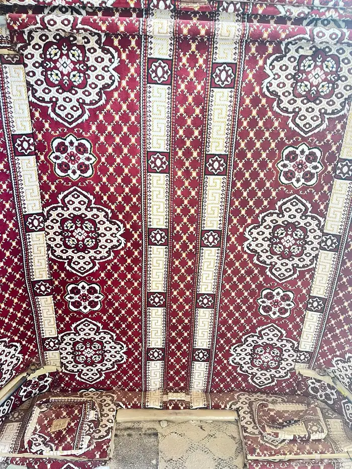 فيبر رحلات ددسن 6