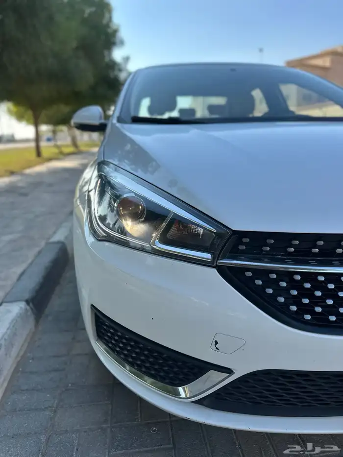 شيري اريزو 5 2023 17